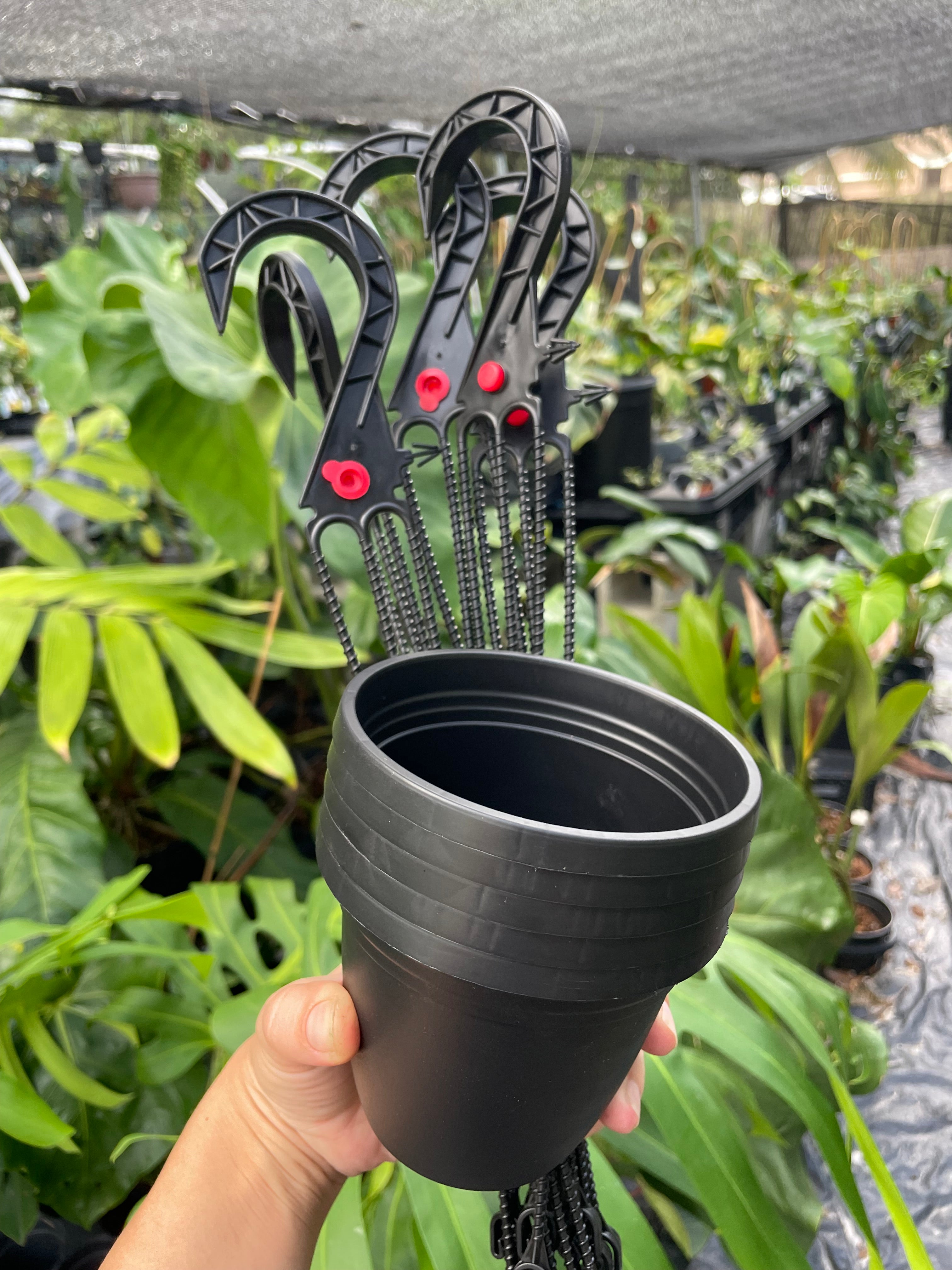 plant plug pots 4” hanging pots – Jax's Jungle