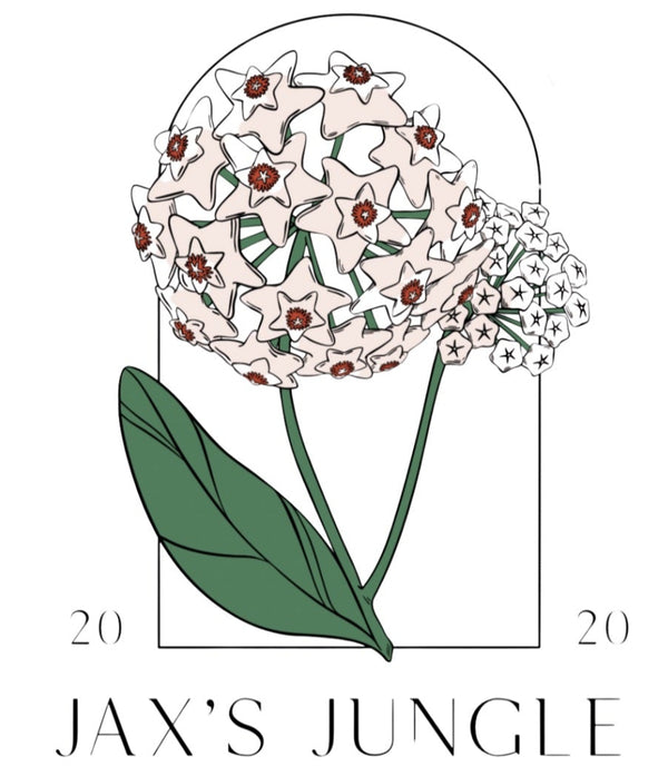 Jax’s Jungle