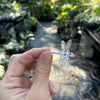 Clear dragonfly clip