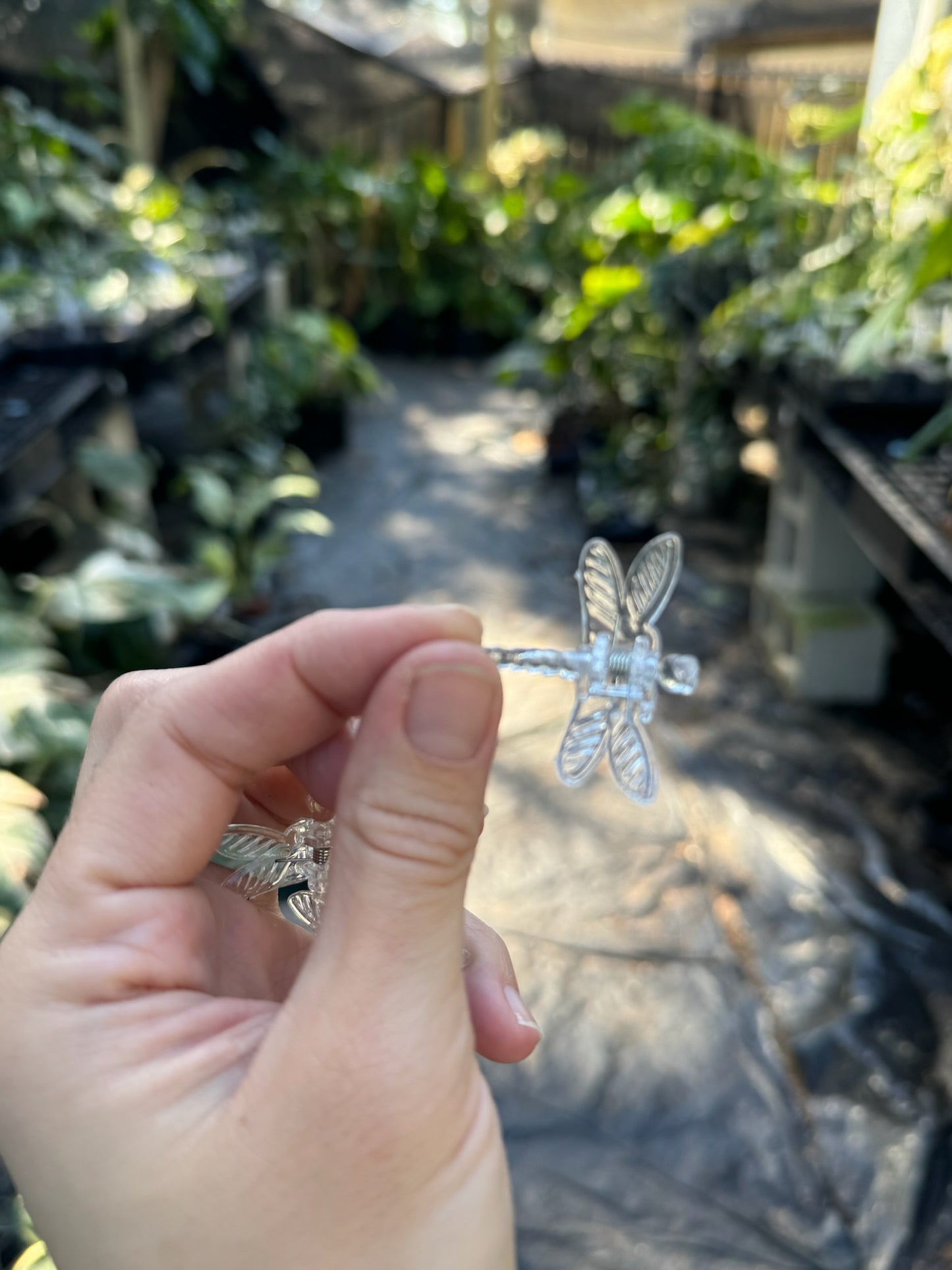 Clear dragonfly clip