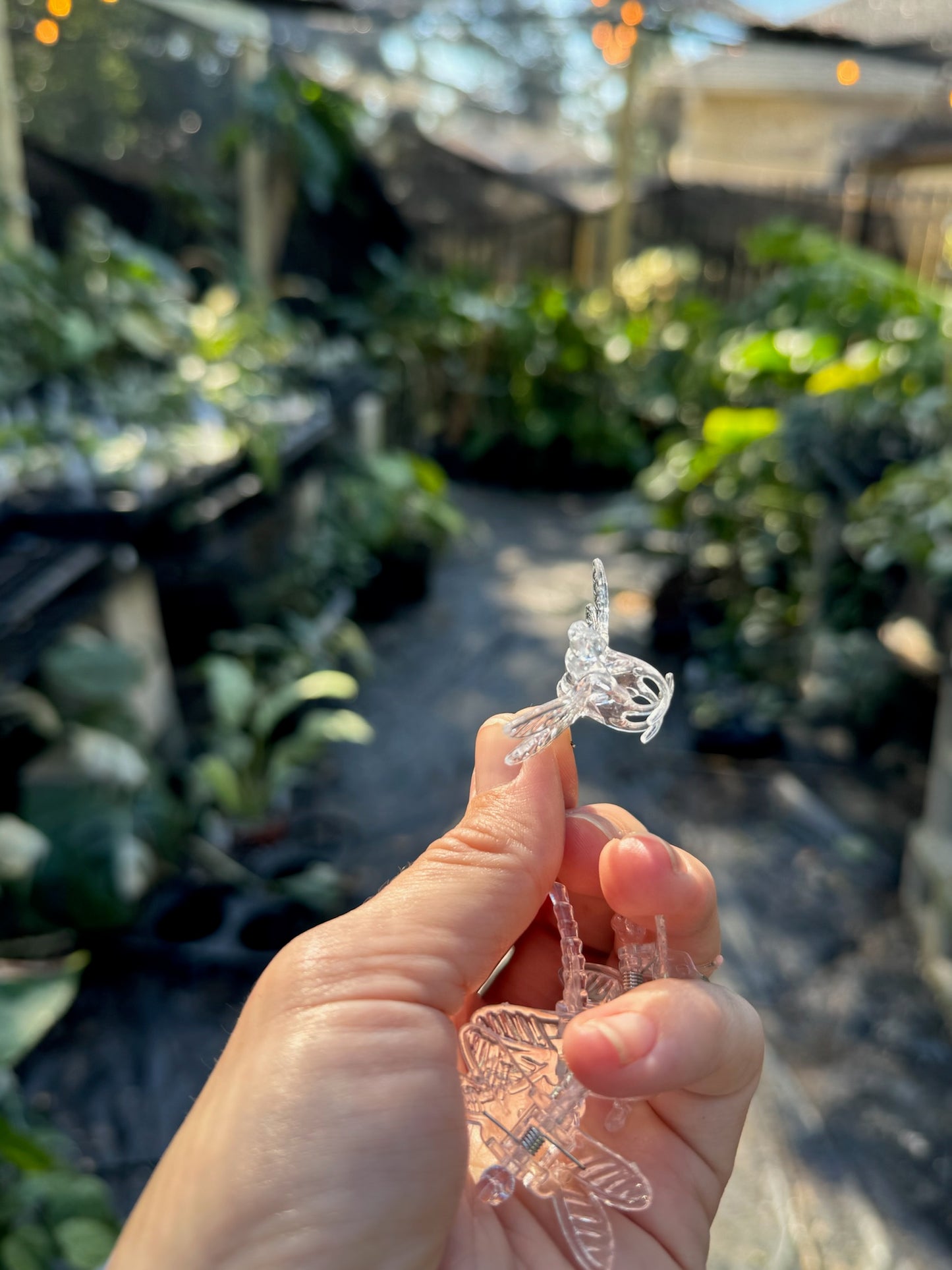 Clear dragonfly clip