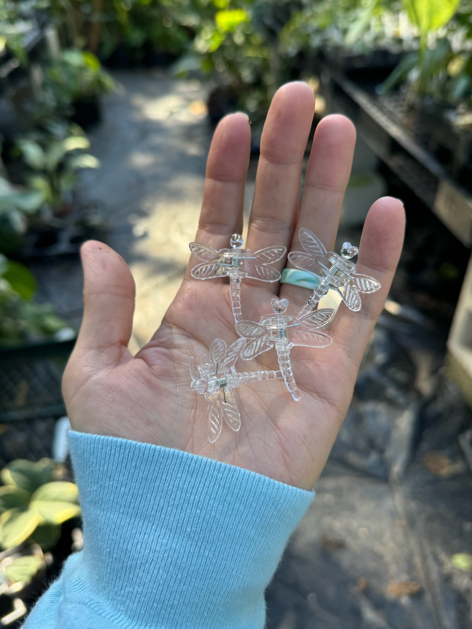 Clear dragonfly clip