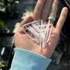 Propagation pins clear