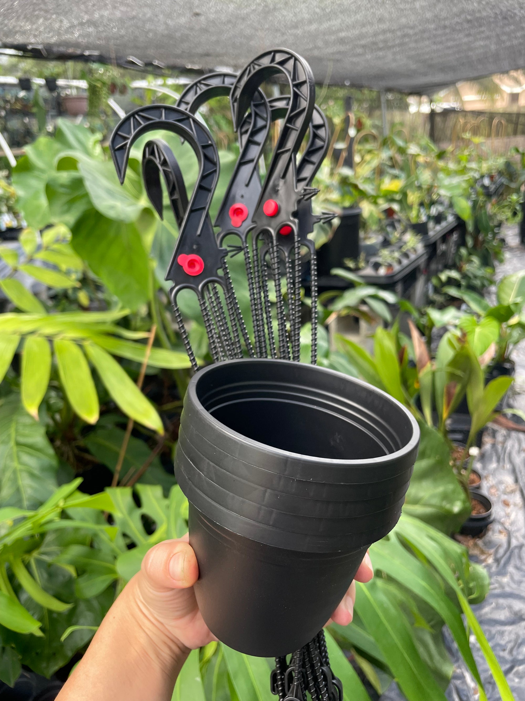 hanging plant pot with drainage 4” hanging pots – Jax's Jungle