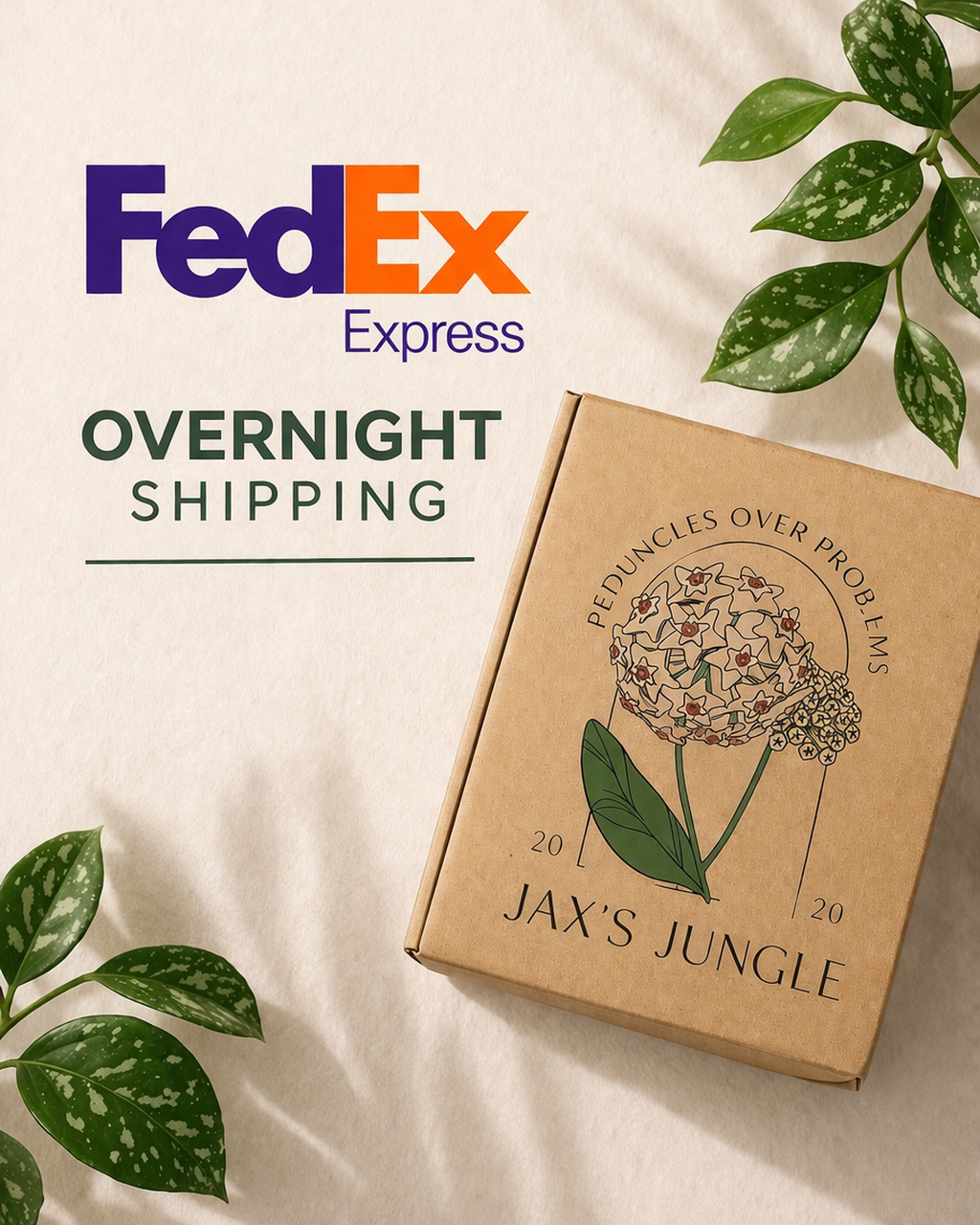 FedEx Overnight shipping