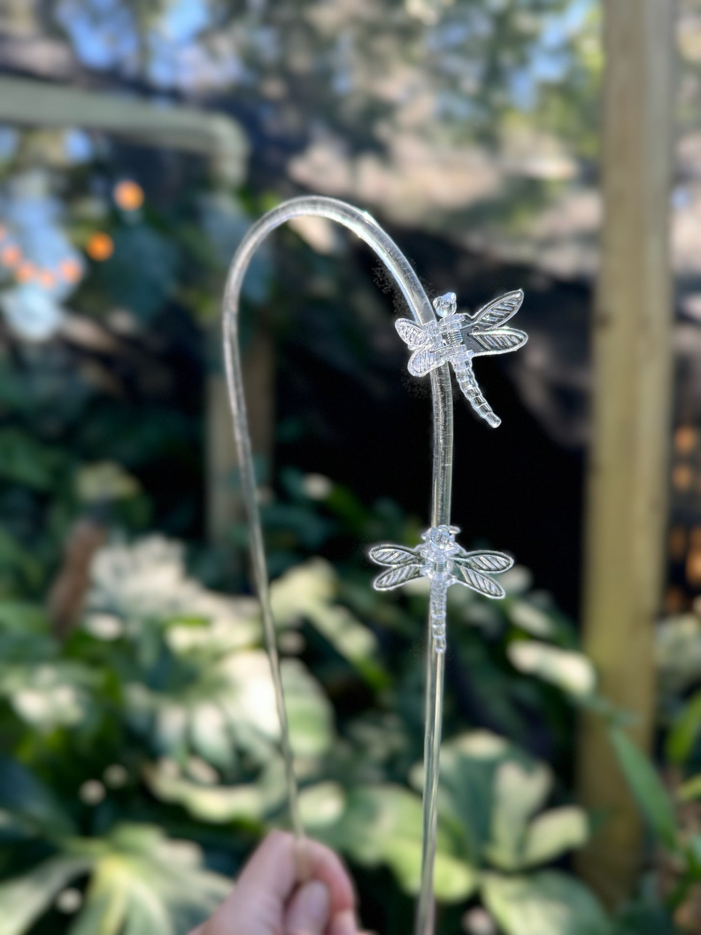 Clear dragonfly clip