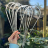 Clear Trellis