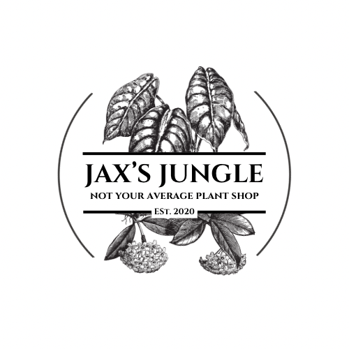 Jax’s Jungle